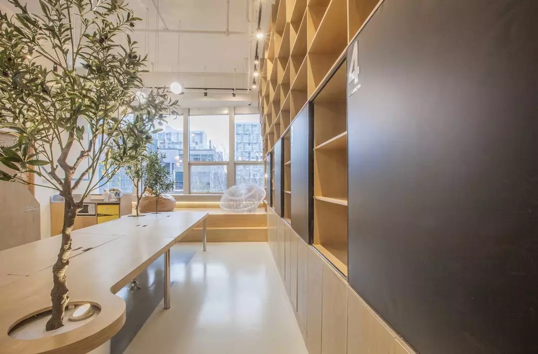 牛在墻上飛，猴子樹梢醉；這是在動(dòng)物園辦公嗎？